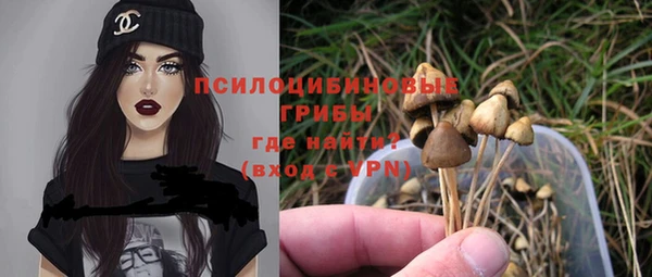 прущие крисы Абинск