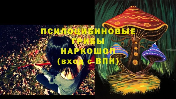 бутират Осинники