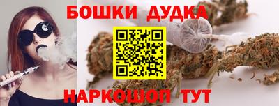 мдпв Пенза
