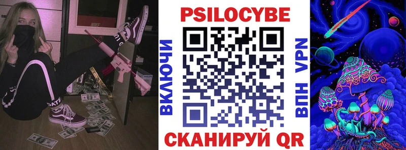 сайты даркнета официальный сайт  Чита  Псилоцибиновые грибы Psilocybine cubensis 