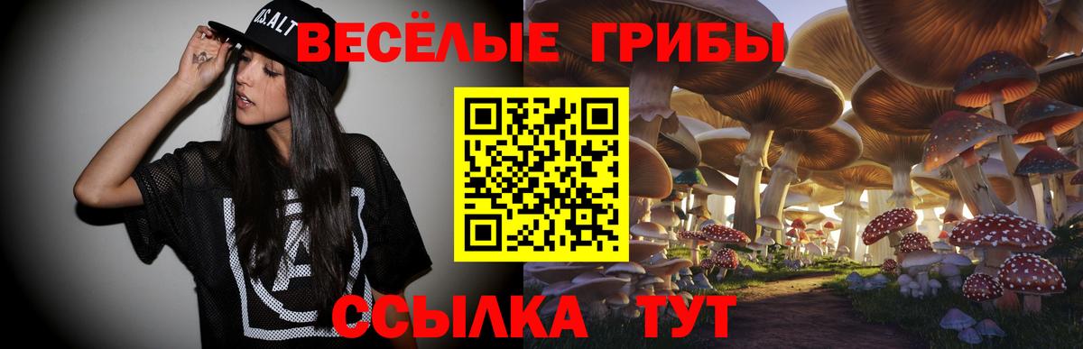 Чита  Псилоцибиновые грибы мицелий  Галлюциногенные грибы Psilocybine cubensis  Вход с VPN 